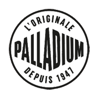 PALLADIUM logo