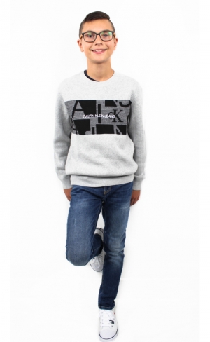  PZ2 Light Grey