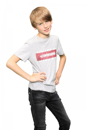 0044 ASH GREY