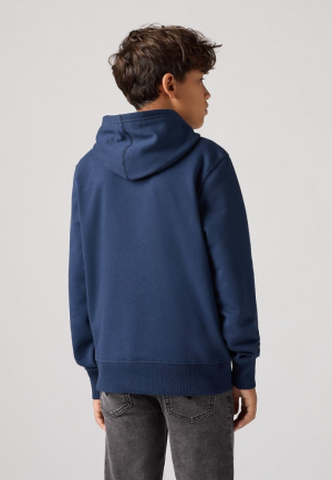  C8D BLUE