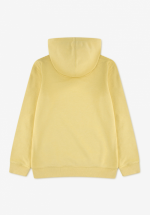  Y9G YELLOW