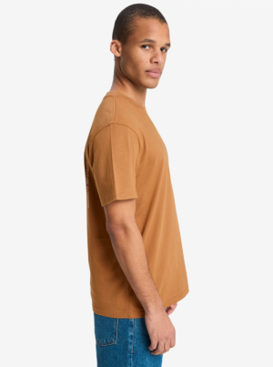  CMK0 TOBACCO BR