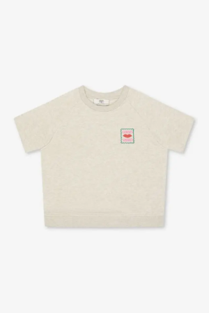  0044 ASH GREY