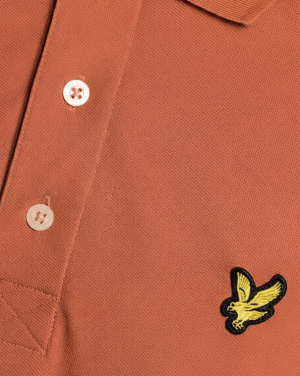  Y177 TERRACOTTA