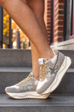 1D84 TAUPE MULT